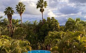 Estalagem Alter Real